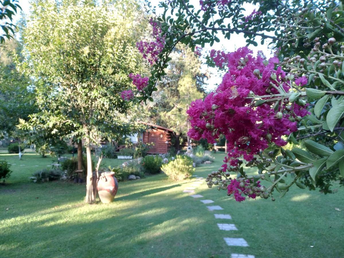 Pualy Resort & Spa Belén de Escobar المظهر الخارجي الصورة