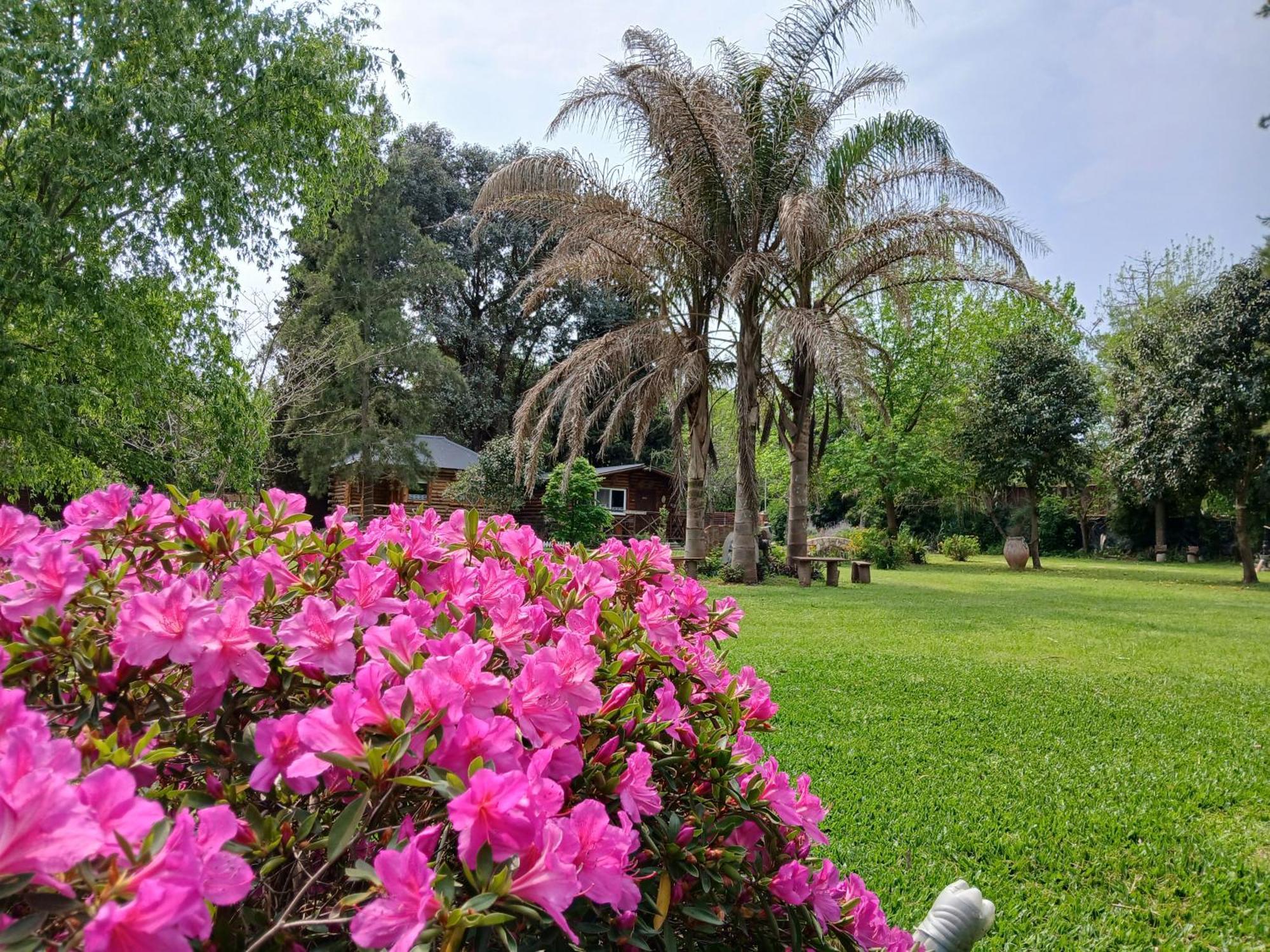 Pualy Resort & Spa Belén de Escobar المظهر الخارجي الصورة